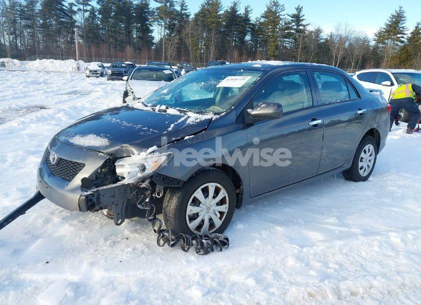 Photo 2 of 2010 Toyota Corolla LE (VIN 2T1BU4EE2AC282464)