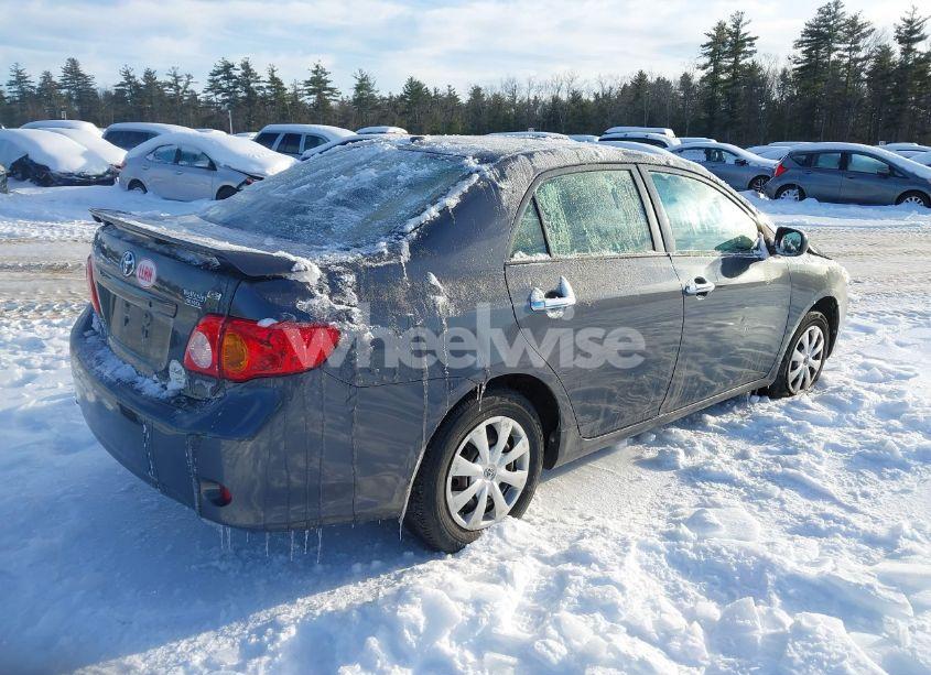 Photo 4 of 2010 Toyota Corolla LE (VIN 2T1BU4EE2AC282464)