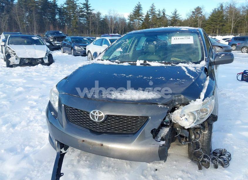 Photo 6 of 2010 Toyota Corolla LE (VIN 2T1BU4EE2AC282464)