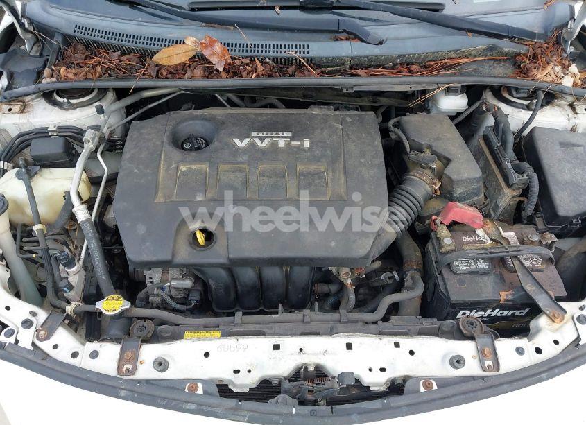 Photo 10 of 2010 Toyota Corolla LE (VIN 2T1BU4EE2AC290676)