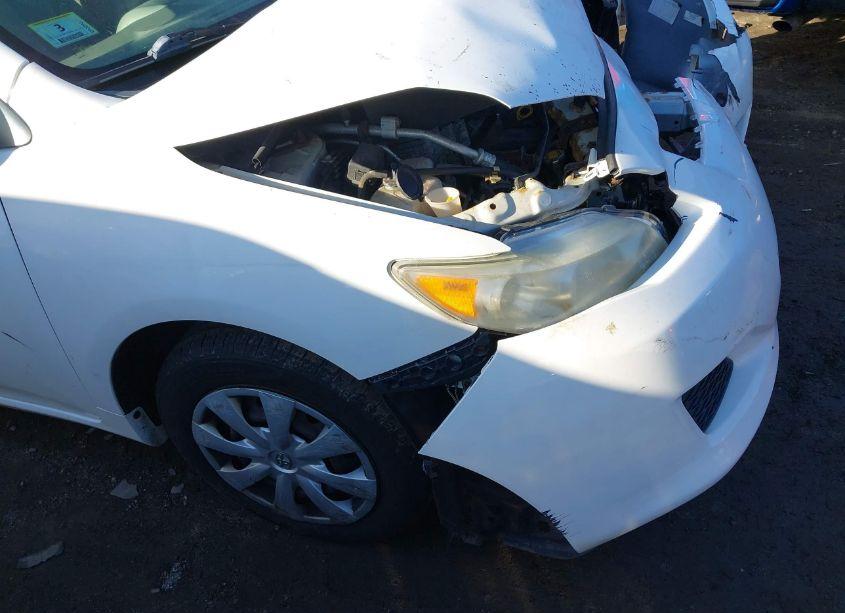 Photo 13 of 2010 Toyota Corolla LE (VIN 2T1BU4EE2AC299684)