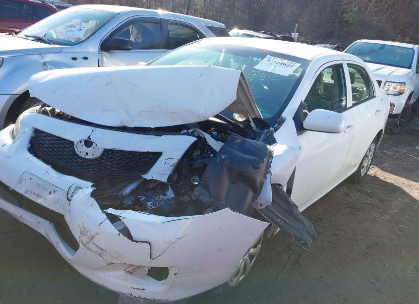 Photo 2 of 2010 Toyota Corolla LE (VIN 2T1BU4EE2AC299684)