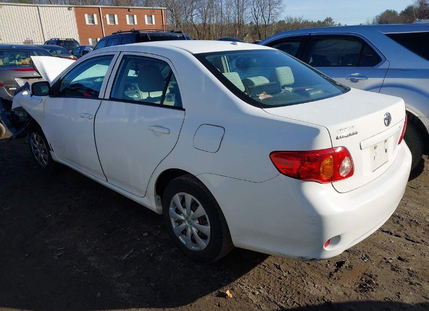 Photo 3 of 2010 Toyota Corolla LE (VIN 2T1BU4EE2AC299684)