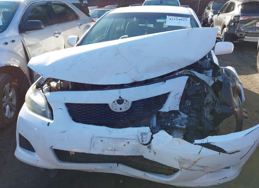 Photo 6 of 2010 Toyota Corolla LE (VIN 2T1BU4EE2AC299684)