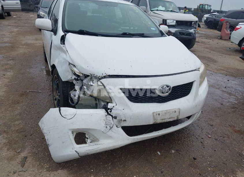 2010 Toyota Corolla LE (VIN 2T1BU4EE2AC362928) main photo