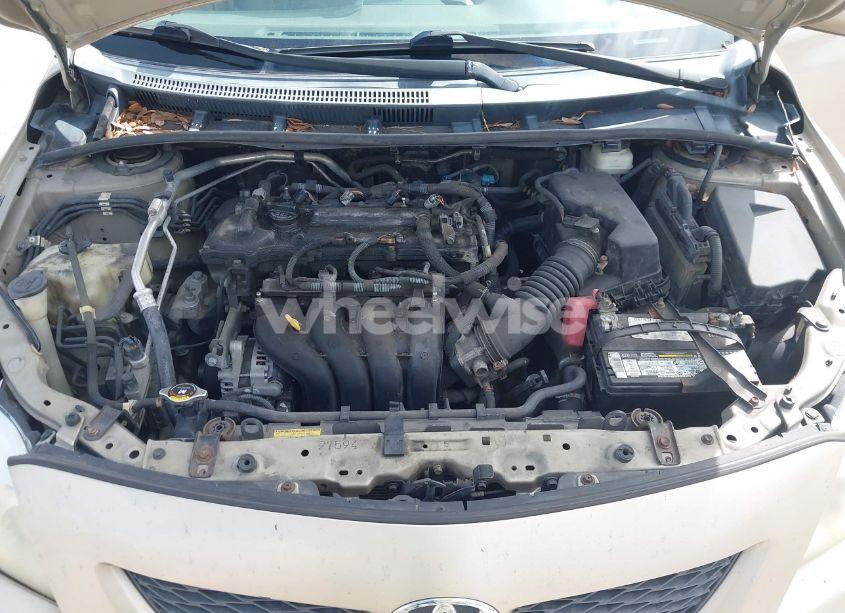 Photo 10 of 2010 Toyota Corolla LE (VIN 2T1BU4EE2AC371340)
