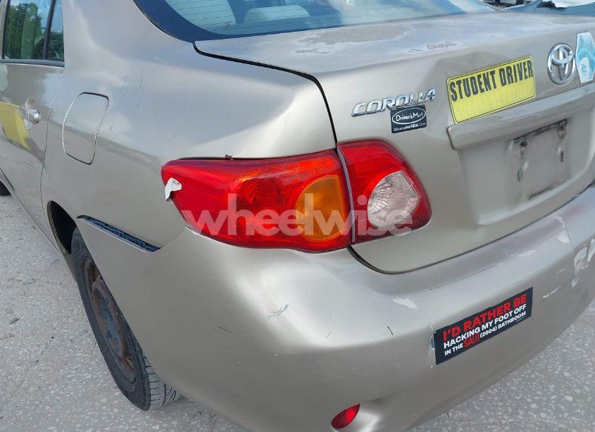Photo 13 of 2010 Toyota Corolla LE (VIN 2T1BU4EE2AC371340)