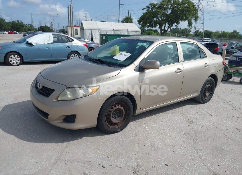 Photo 2 of 2010 Toyota Corolla LE (VIN 2T1BU4EE2AC371340)