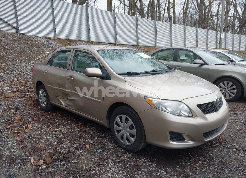2010 Toyota Corolla LE (VIN 2T1BU4EE2AC376442) main photo