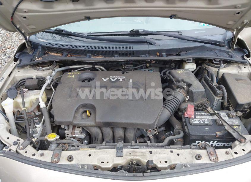 Photo 10 of 2010 Toyota Corolla LE (VIN 2T1BU4EE2AC376442)