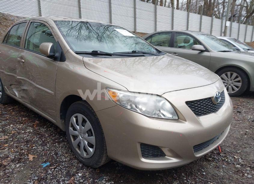 Photo 12 of 2010 Toyota Corolla LE (VIN 2T1BU4EE2AC376442)