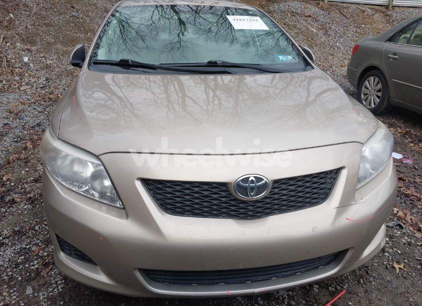 Photo 13 of 2010 Toyota Corolla LE (VIN 2T1BU4EE2AC376442)