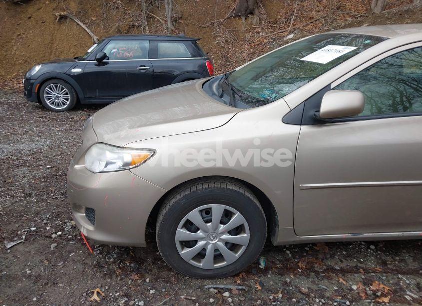 Photo 14 of 2010 Toyota Corolla LE (VIN 2T1BU4EE2AC376442)