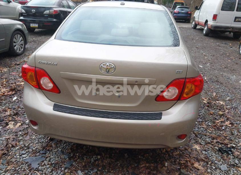 Photo 16 of 2010 Toyota Corolla LE (VIN 2T1BU4EE2AC376442)