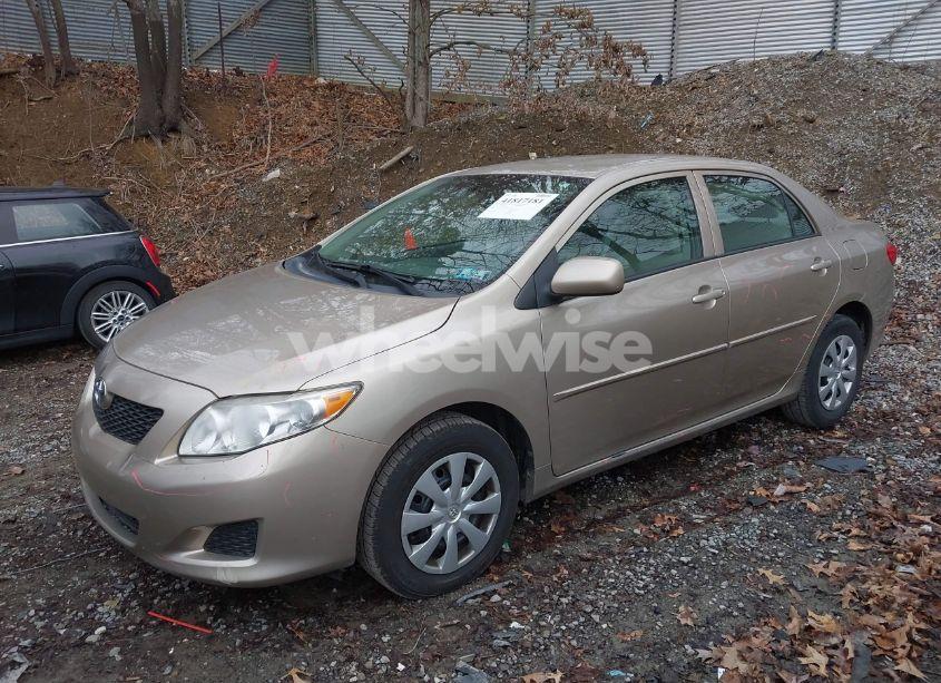 Photo 2 of 2010 Toyota Corolla LE (VIN 2T1BU4EE2AC376442)
