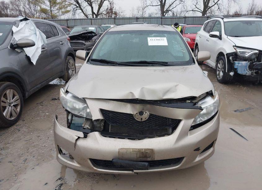 Photo 12 of 2010 Toyota Corolla LE (VIN 2T1BU4EE2AC383858)