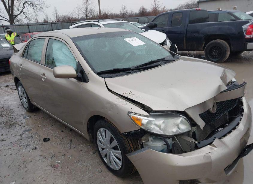 Photo 13 of 2010 Toyota Corolla LE (VIN 2T1BU4EE2AC383858)