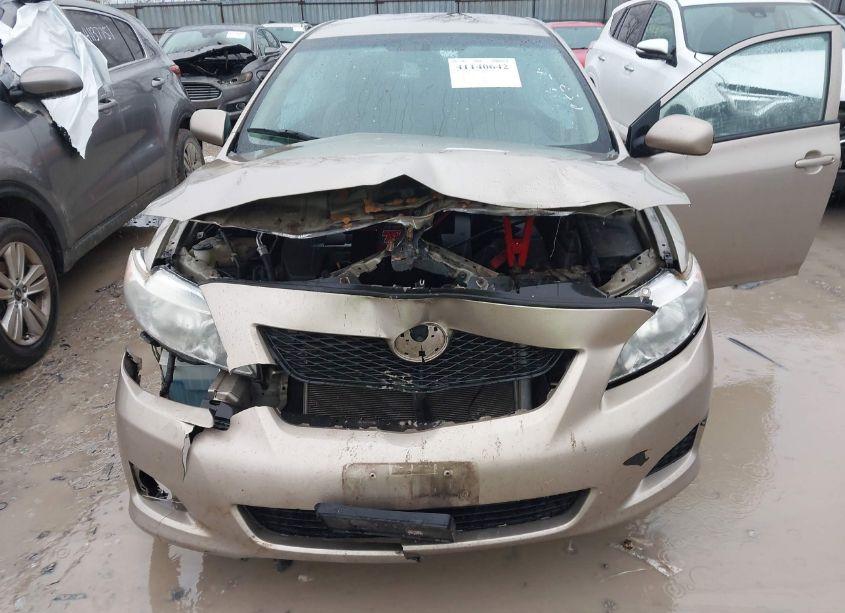 Photo 6 of 2010 Toyota Corolla LE (VIN 2T1BU4EE2AC383858)