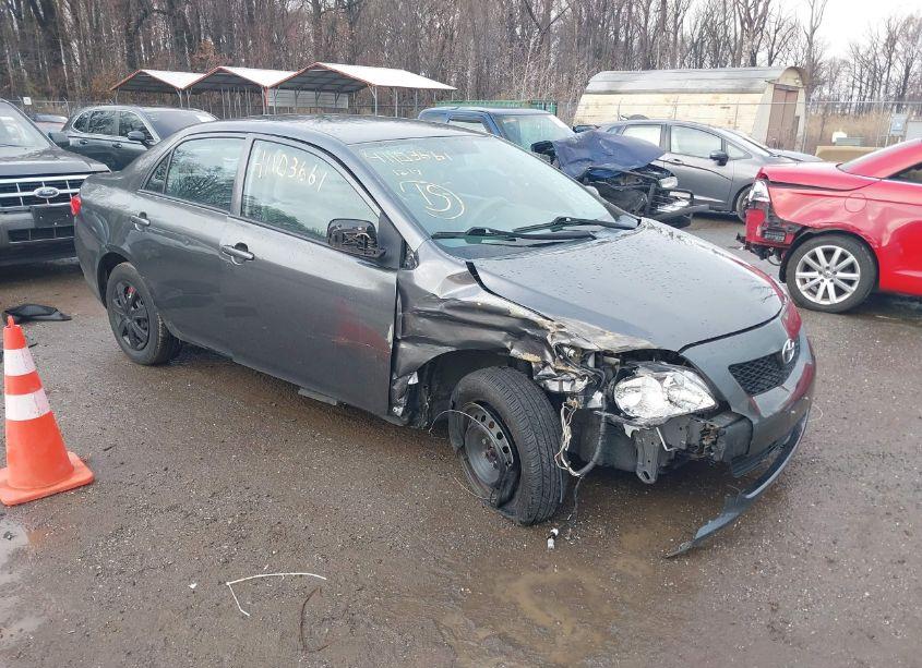 2010 Toyota Corolla LE (VIN 2T1BU4EE2AC417247) main photo