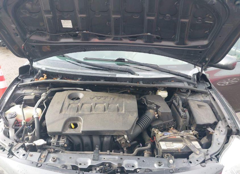 Photo 10 of 2010 Toyota Corolla LE (VIN 2T1BU4EE2AC417247)