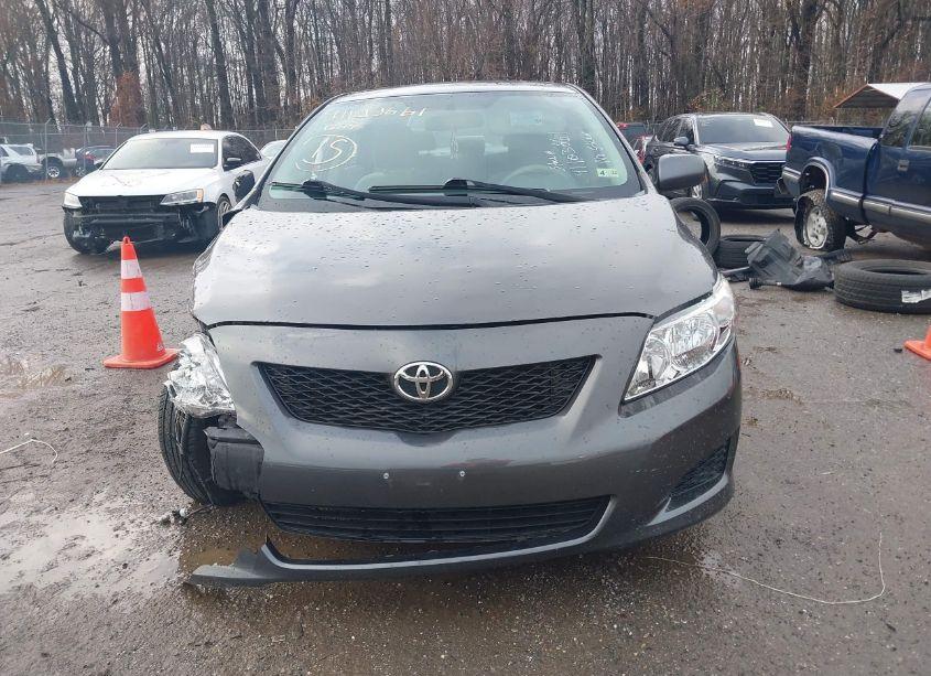 Photo 12 of 2010 Toyota Corolla LE (VIN 2T1BU4EE2AC417247)