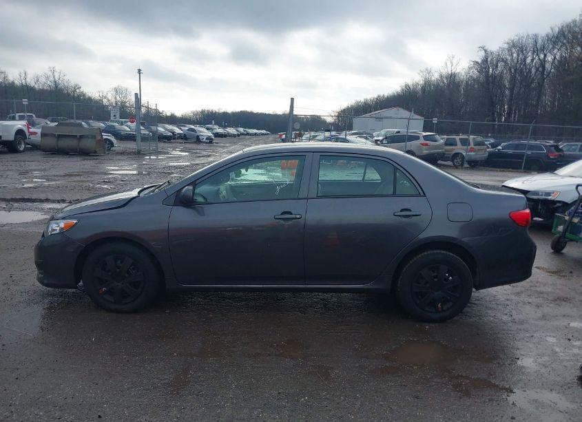 Photo 14 of 2010 Toyota Corolla LE (VIN 2T1BU4EE2AC417247)