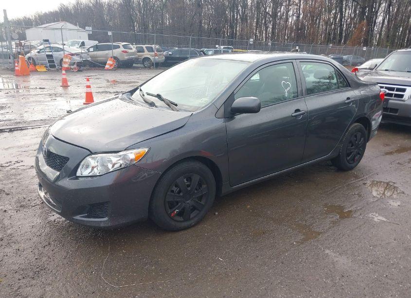 Photo 2 of 2010 Toyota Corolla LE (VIN 2T1BU4EE2AC417247)