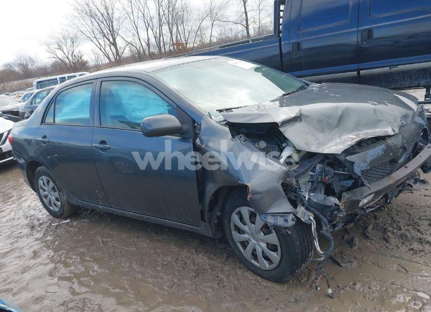 Photo 12 of 2010 Toyota Corolla LE (VIN 2T1BU4EE2AC435196)