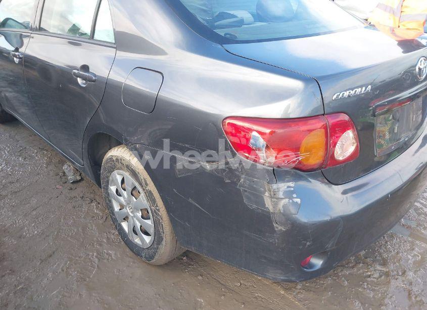 Photo 16 of 2010 Toyota Corolla LE (VIN 2T1BU4EE2AC435196)