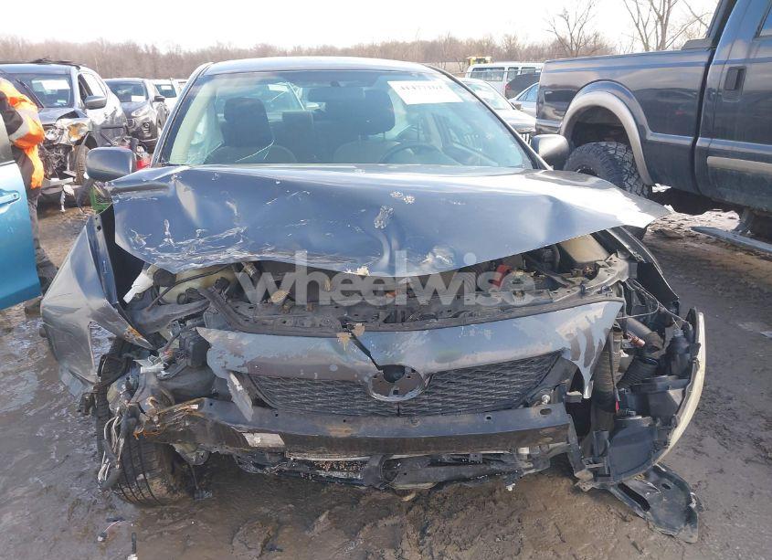 Photo 6 of 2010 Toyota Corolla LE (VIN 2T1BU4EE2AC435196)