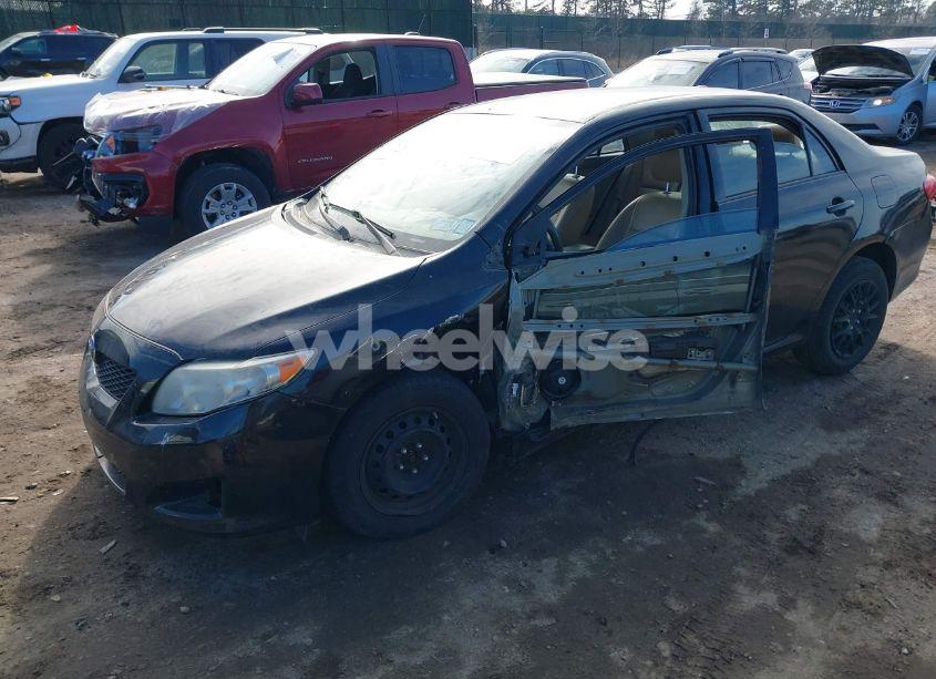 Photo 6 of 2010 Toyota Corolla LE (VIN 2T1BU4EE2AC515596)