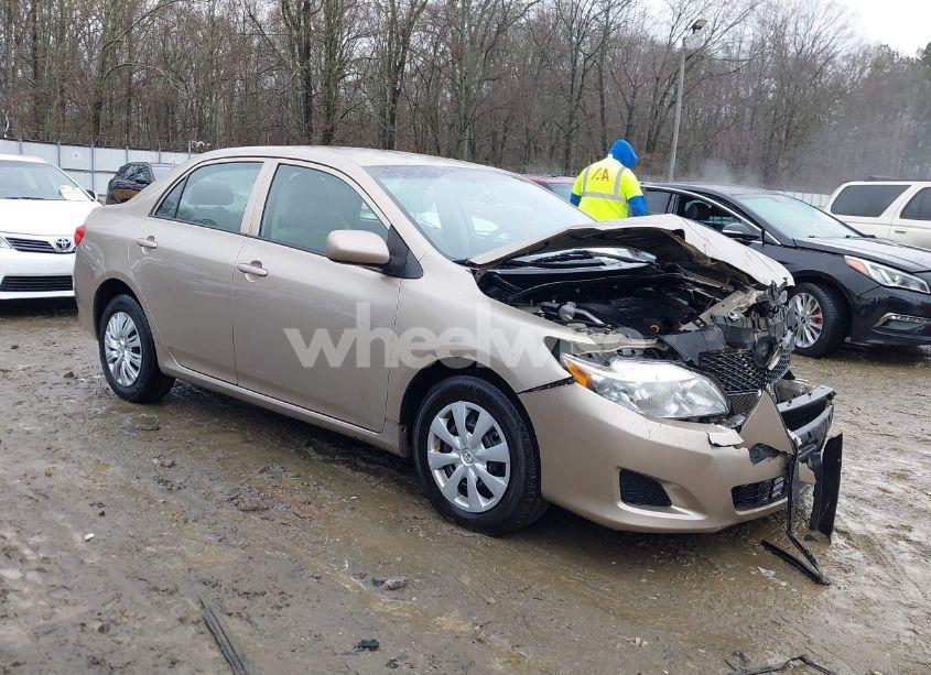 2010 Toyota Corolla LE (VIN 2T1BU4EE2AC519857) main photo