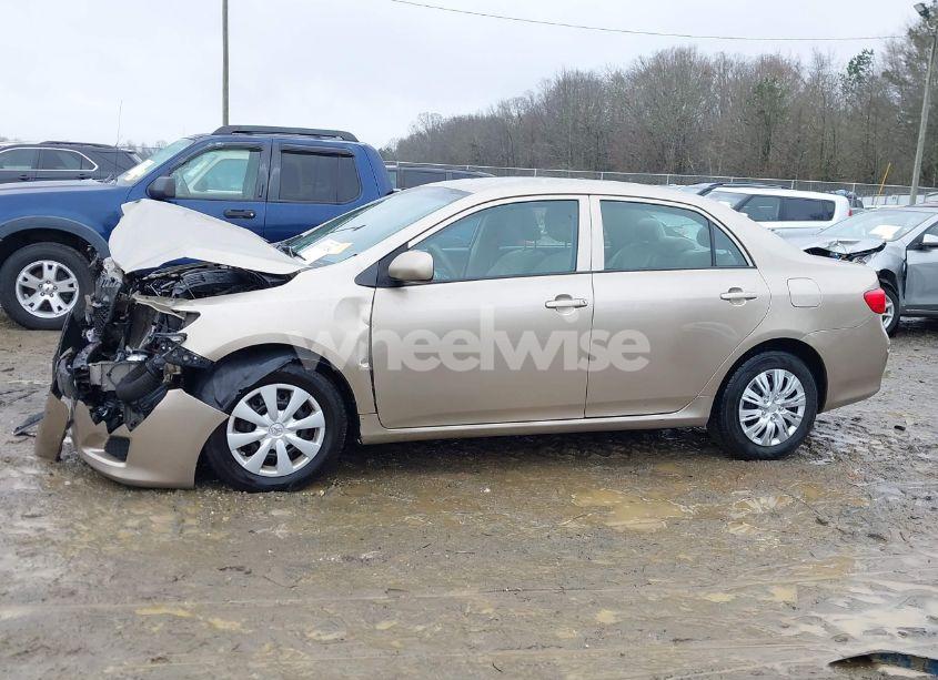 Photo 14 of 2010 Toyota Corolla LE (VIN 2T1BU4EE2AC519857)