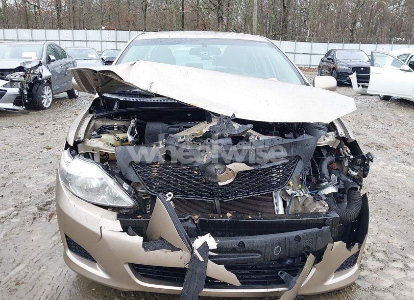 Photo 6 of 2010 Toyota Corolla LE (VIN 2T1BU4EE2AC519857)