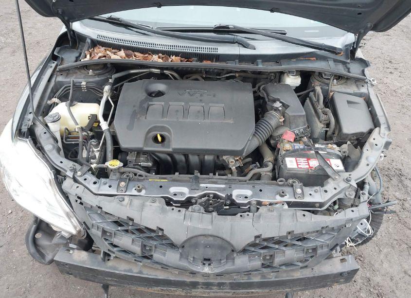 Photo 10 of 2011 Toyota Corolla LE (VIN 2T1BU4EE2BC694661)