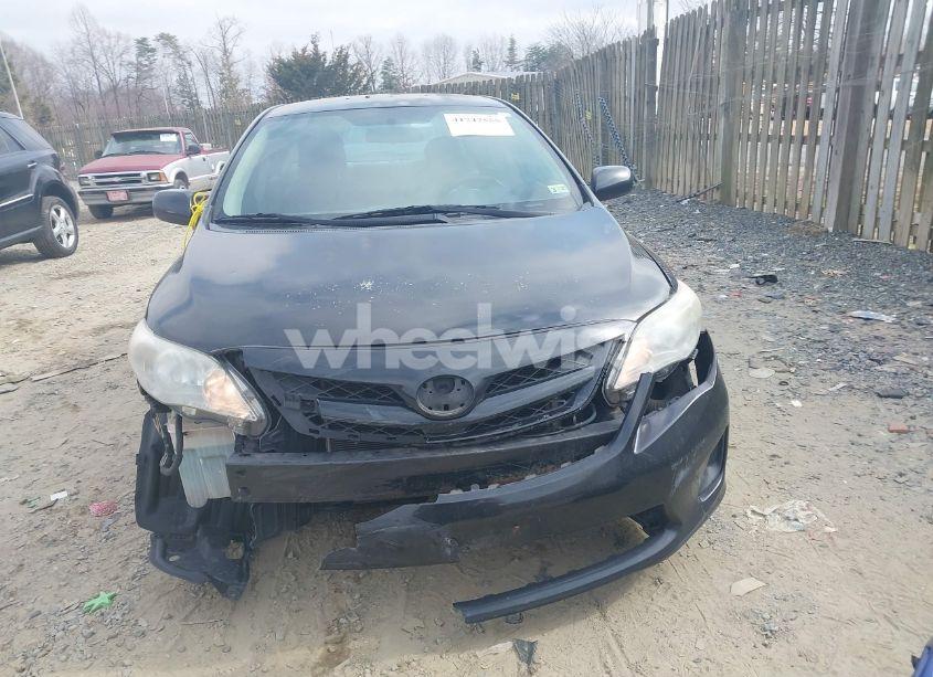 Photo 12 of 2012 Toyota Corolla LE (VIN 2T1BU4EE2CC816209)