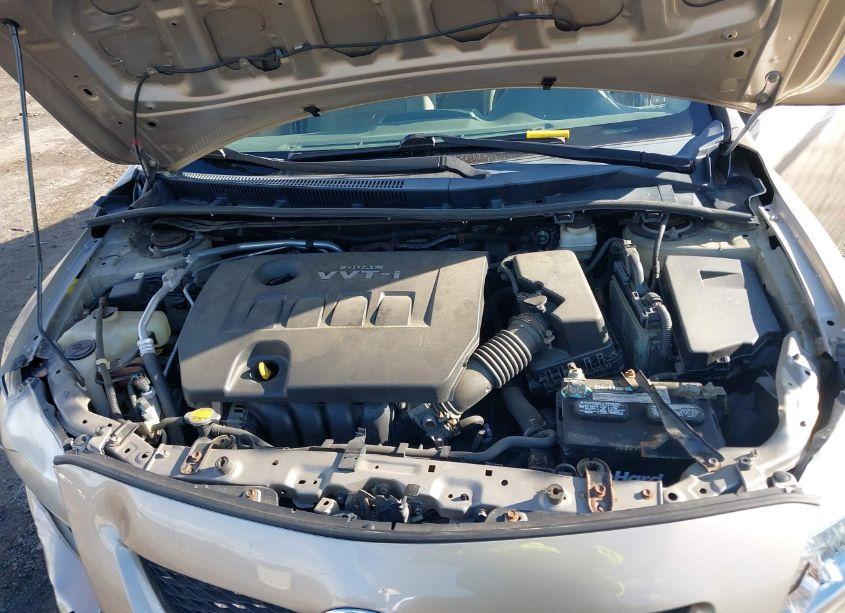 Photo 10 of 2010 Toyota Corolla LE (VIN 2T1BU4EE3AC264720)