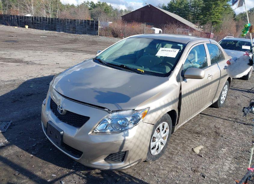 Photo 2 of 2010 Toyota Corolla LE (VIN 2T1BU4EE3AC264720)
