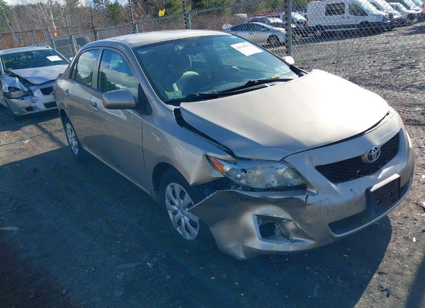 Photo 6 of 2010 Toyota Corolla LE (VIN 2T1BU4EE3AC264720)