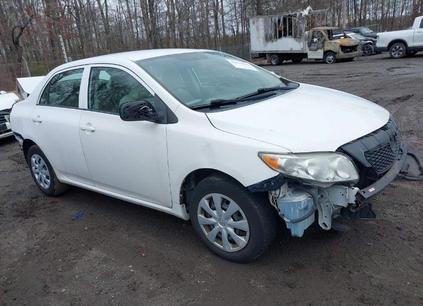 2010 Toyota Corolla LE (VIN 2T1BU4EE3AC281632) main photo