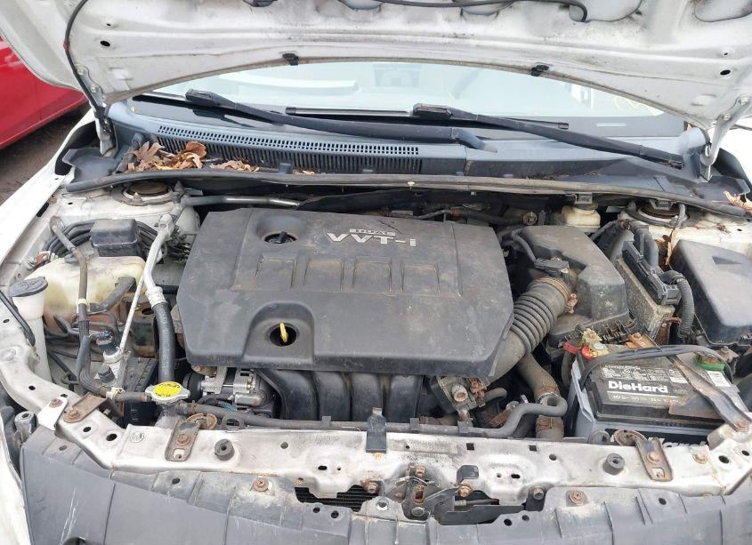 Photo 10 of 2010 Toyota Corolla LE (VIN 2T1BU4EE3AC281632)