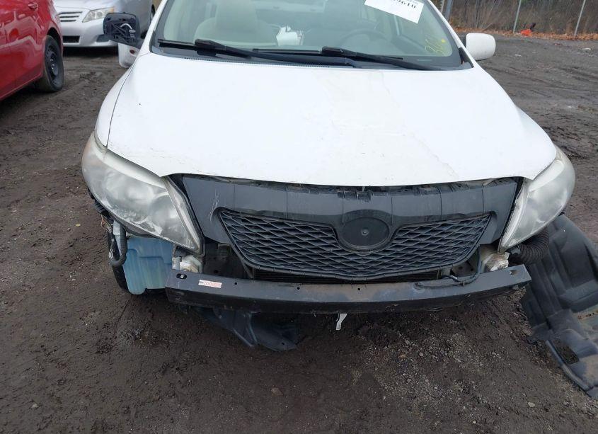 Photo 14 of 2010 Toyota Corolla LE (VIN 2T1BU4EE3AC281632)