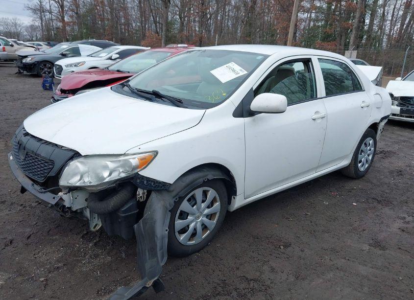 Photo 2 of 2010 Toyota Corolla LE (VIN 2T1BU4EE3AC281632)