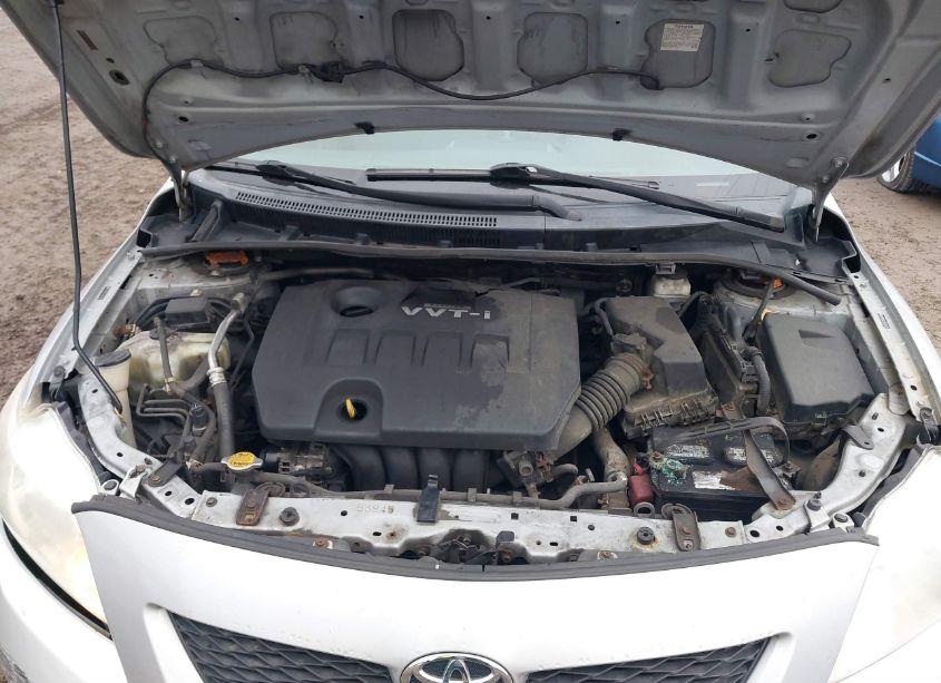 Photo 10 of 2010 Toyota Corolla LE (VIN 2T1BU4EE3AC284238)