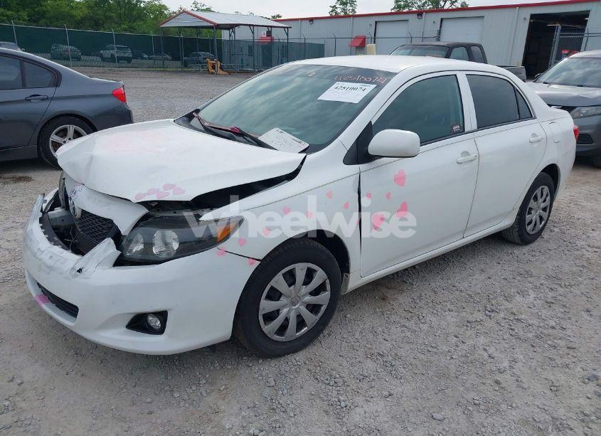 Photo 2 of 2010 Toyota Corolla LE (VIN 2T1BU4EE3AC286152)