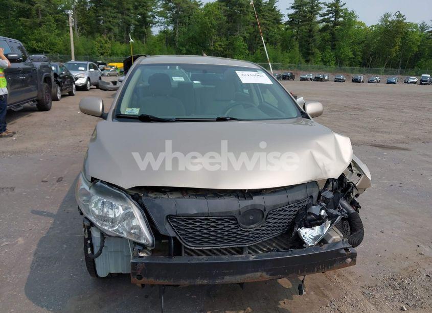 Photo 13 of 2010 Toyota Corolla LE (VIN 2T1BU4EE3AC296910)