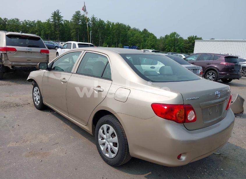 Photo 3 of 2010 Toyota Corolla LE (VIN 2T1BU4EE3AC296910)