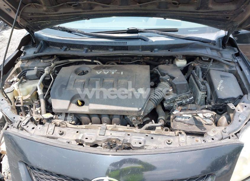 Photo 10 of 2010 Toyota Corolla LE (VIN 2T1BU4EE3AC304729)