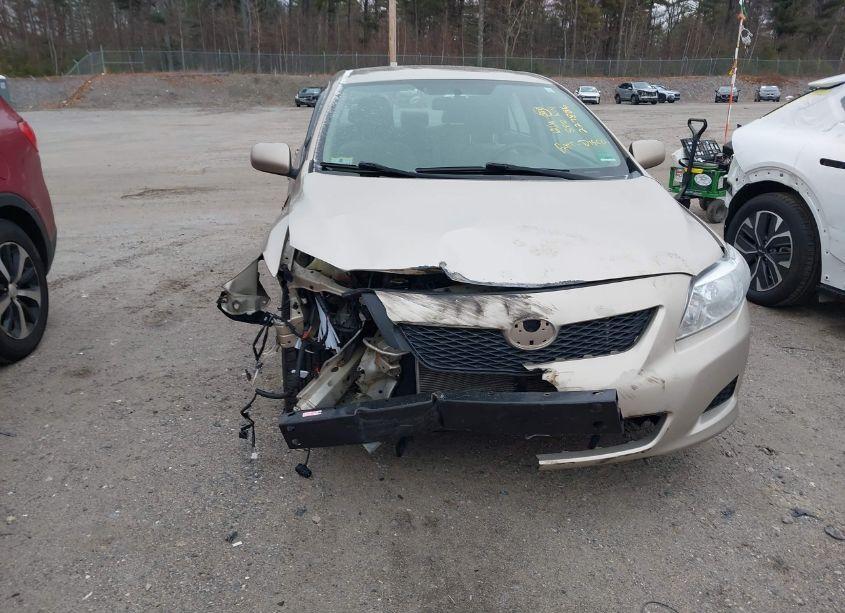 Photo 12 of 2010 Toyota Corolla LE (VIN 2T1BU4EE3AC327783)