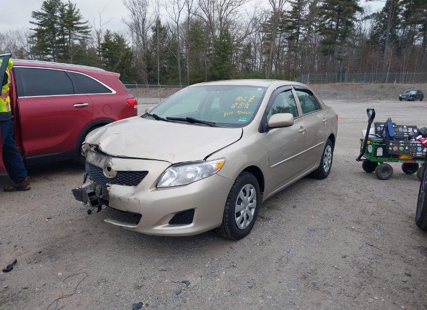 Photo 2 of 2010 Toyota Corolla LE (VIN 2T1BU4EE3AC327783)